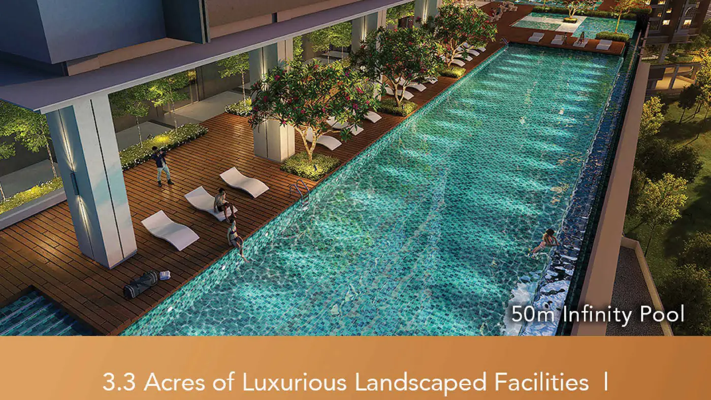 50 metre infinity pool on the elevated deck at The Maple Residences